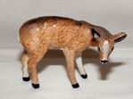 Image de Deer - female