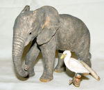 Image de Elephant