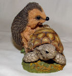 Image de Hedgehog with Turtle