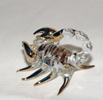 Image de Scorpion - Zodiac