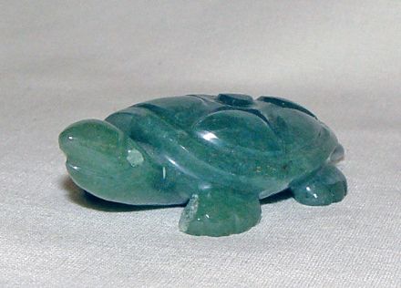 Image de Turtle